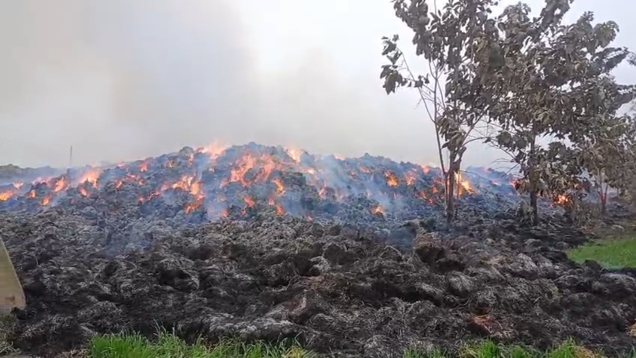 ऊन (शामली शामला शुगर मिल में भीषण आग, 20 लाख का भारी नुकसान